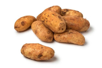 بطاطا بلدي