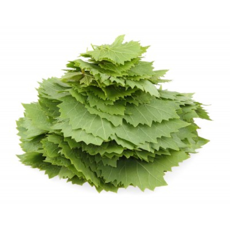 ورق عنب
