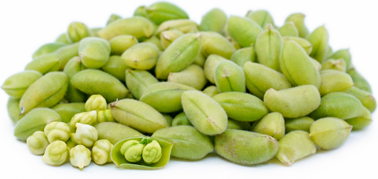 حمص أخضر (حاملة)