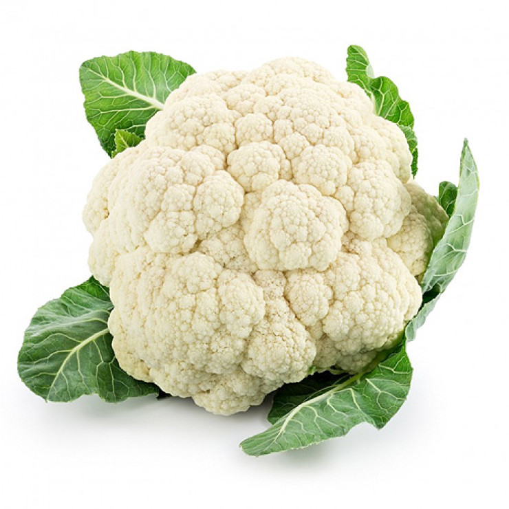 زهرة