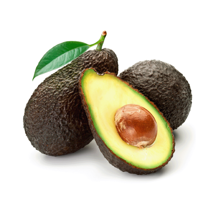 أفوكادو خشن (هاس)