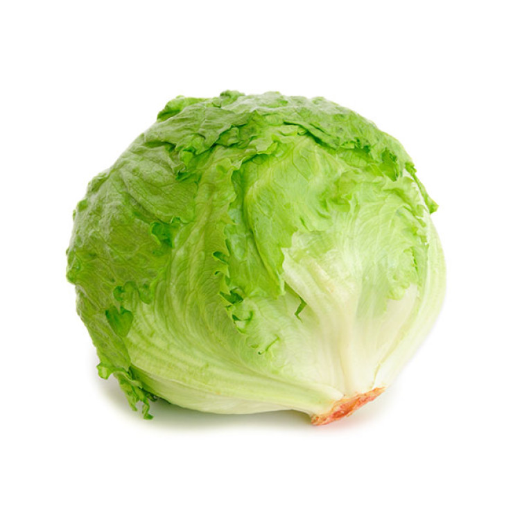 خس آيسبرغ